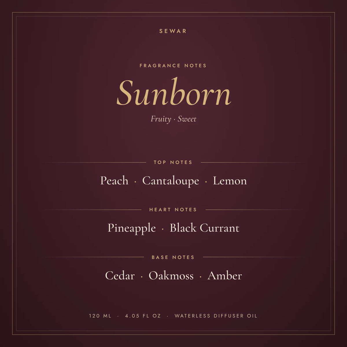 Sunborn fragrance notes: top, heart and base notes